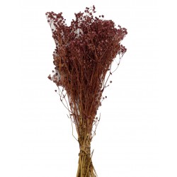 CİPSO KURU ÇİÇEK KAHVERENGİ RENK CİPSO KURU ÇİÇEK KAHVERENGİ RENK