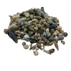 KARIŞIK KABUK KARIŞIK KABUK