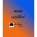 Mum Çeşitleri