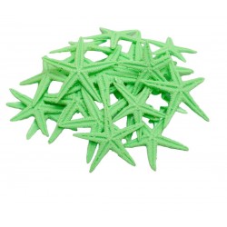 DENİZ YILDIZI MİNİ POLYESTER YEŞİL DENİZ YILDIZI MİNİ POLYESTER YEŞİL