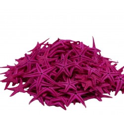 DENİZ YILDIZI DOĞAL MİNİ FUŞYA DENİZ YILDIZI DOĞAL MİNİ FUŞYA