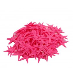 DENİZ YILDIZI MİNİ POLYESTER PEMBE DENİZ YILDIZI MİNİ POLYESTER PEMBE