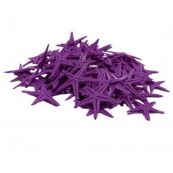 DENİZ YILDIZI MİNİ POLYESTER MOR DENİZ YILDIZI MİNİ POLYESTER MOR