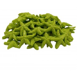 DENİZ YILDIZI POLYESTER MİNİ DENİZ YILDIZI POLYESTER MİNİ