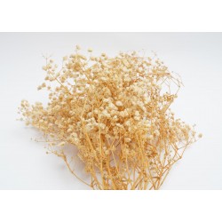 CİPSO KURU ÇİÇEK NATUREL RENK CİPSO KURU ÇİÇEK NATUREL RENK